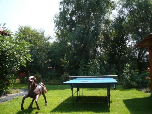 Outdoor Pictures 18