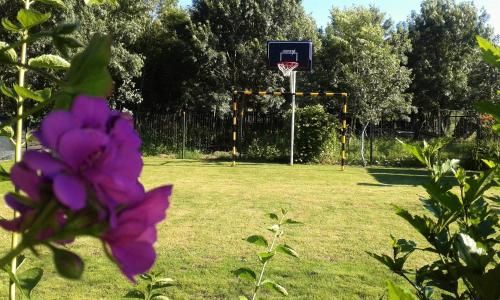 Outdoor Pictures 15