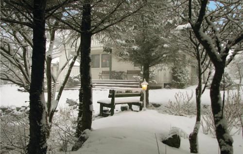 Outdoor Pictures 22