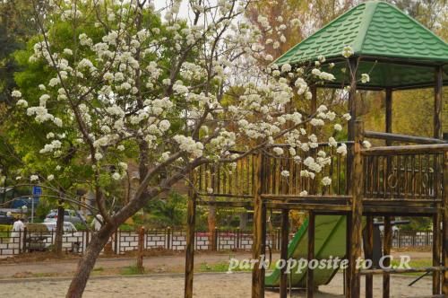 Outdoor Pictures 24