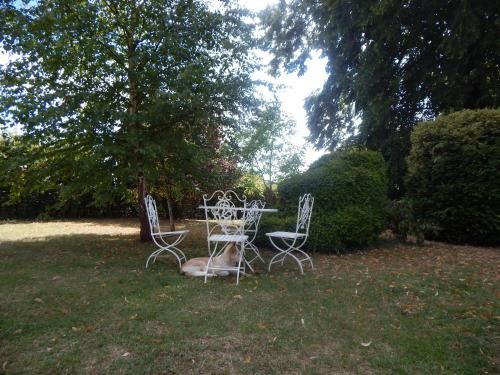 Outdoor Pictures 16