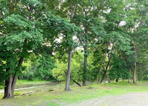 Outdoor Pictures 18