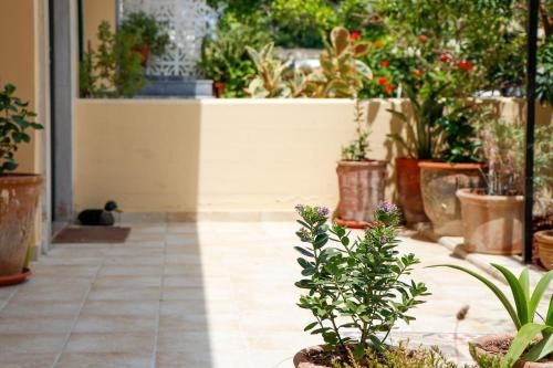 Outdoor Pictures 24