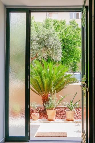 Outdoor Pictures 21