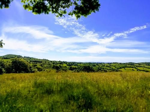 Outdoor Pictures 16