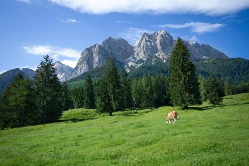 Outdoor Pictures 21