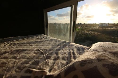 Outdoor Pictures 6