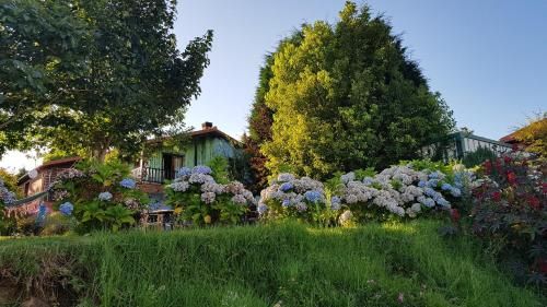 Apartamentos Rosa Jove