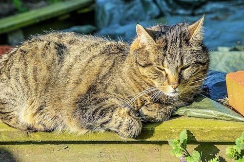 Outdoor Pictures 20