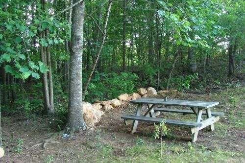Outdoor Pictures 18