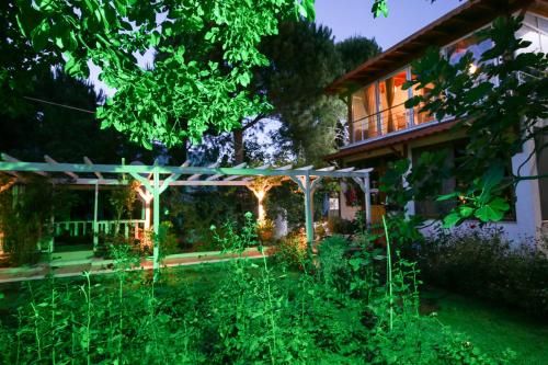 Outdoor Pictures 1