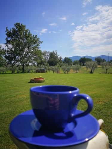 Outdoor Pictures 10