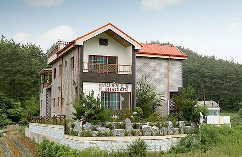 Sea and Pine Tree Pension