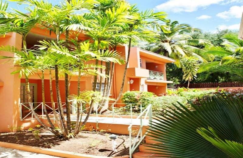 Travellers Palm