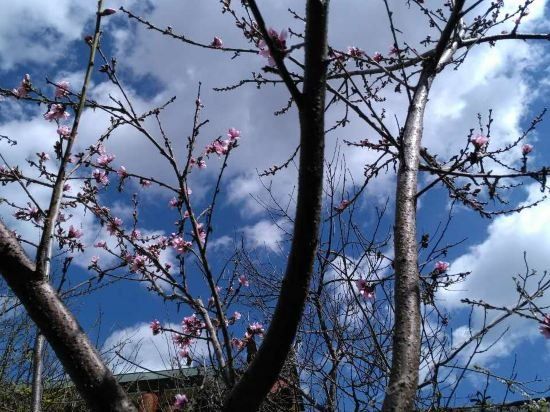 Outdoor Pictures 10