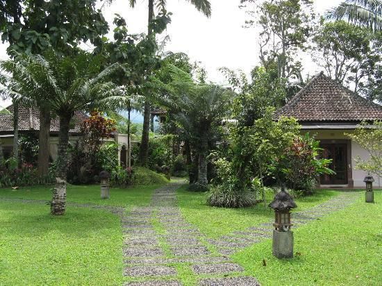 Ijen Resort and Villas