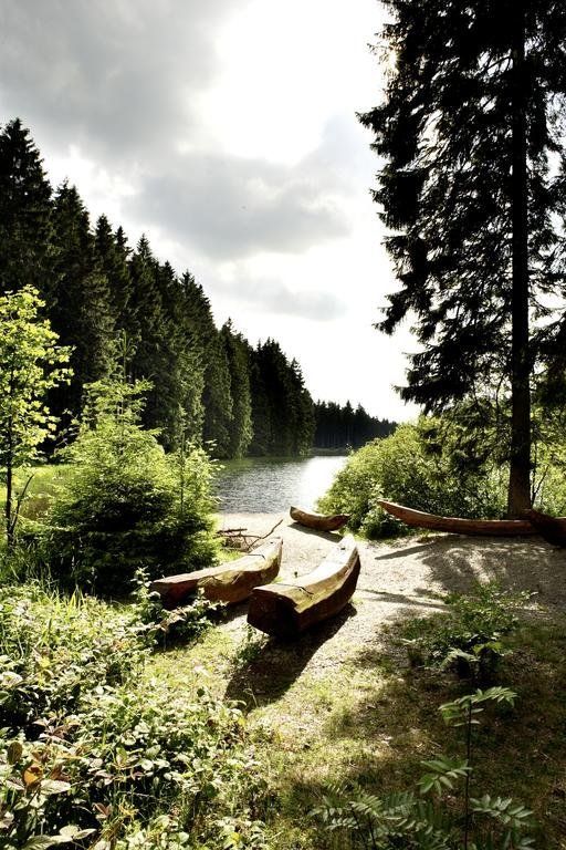 Outdoor Pictures 15
