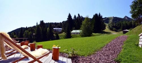 Outdoor Pictures 21
