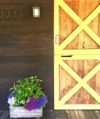 Outdoor Pictures 11