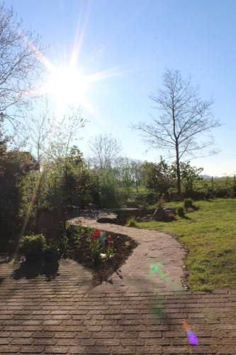 Outdoor Pictures 12