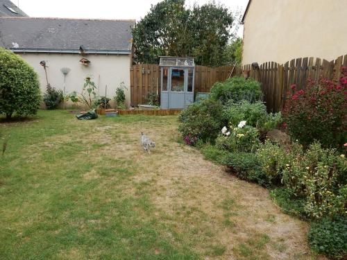 Outdoor Pictures 20