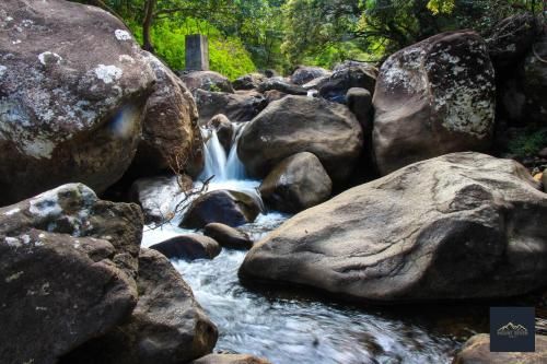 Outdoor Pictures 21