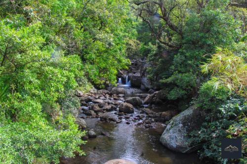 Outdoor Pictures 19