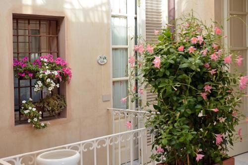 Outdoor Pictures 21