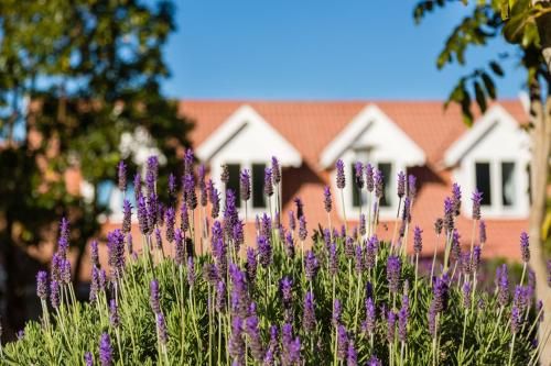 Outdoor Pictures 21