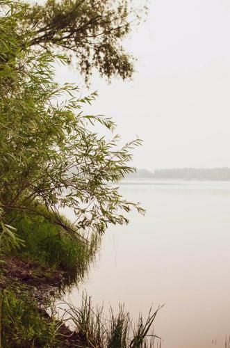Outdoor Pictures 21