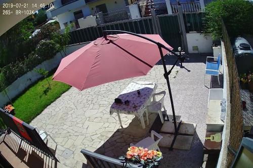 Outdoor Pictures 20