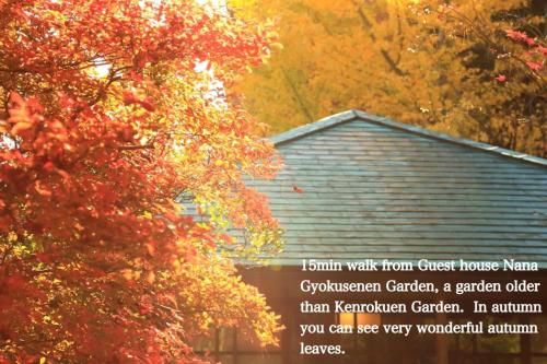 Outdoor Pictures 24