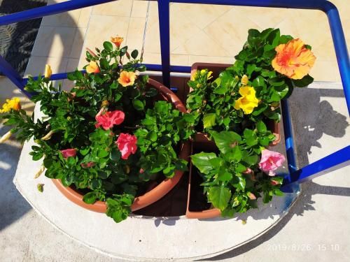 Outdoor Pictures 21