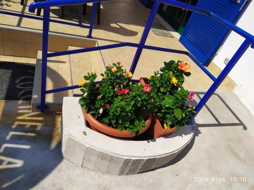 Outdoor Pictures 22