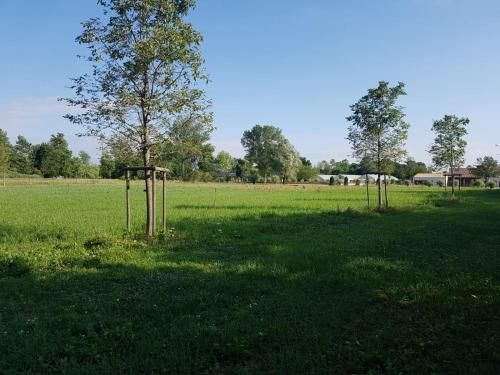 Outdoor Pictures 7