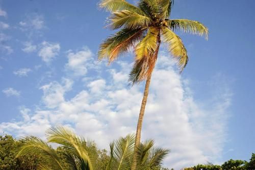 Outdoor Pictures 22