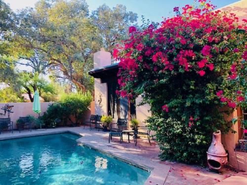 Outdoor Pictures 21