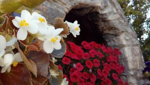 Outdoor Pictures 24