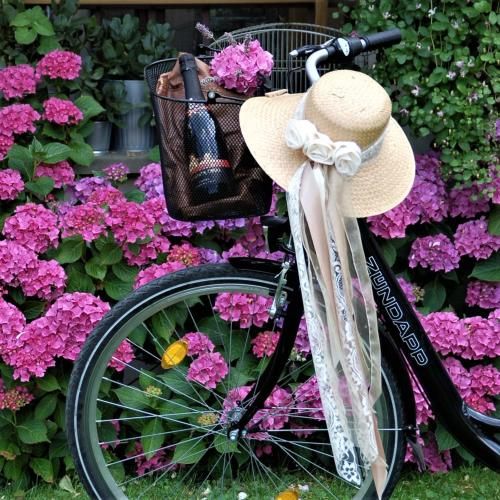 Outdoor Pictures 14