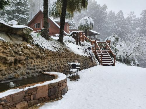 Outdoor Pictures 24