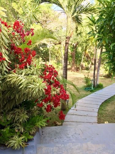 Outdoor Pictures 7