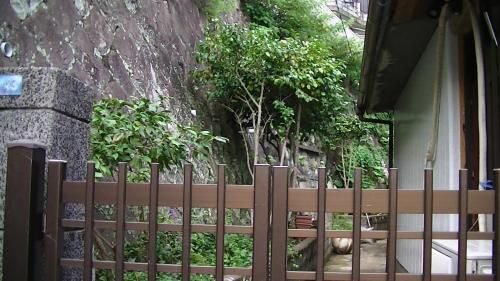 Outdoor Pictures 15