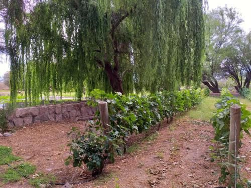 Outdoor Pictures 7