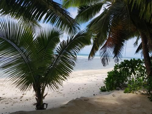 Anse Kerlan Beach Chalets