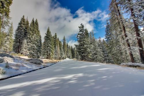 Outdoor Pictures 21