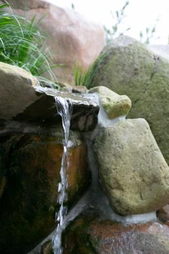 Outdoor Pictures 13