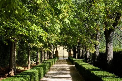 Outdoor Pictures 23