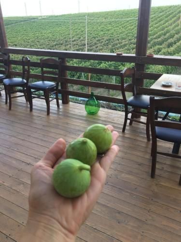 Agriturismo Tenuta Lagala