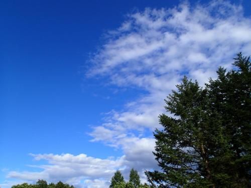 Outdoor Pictures 4