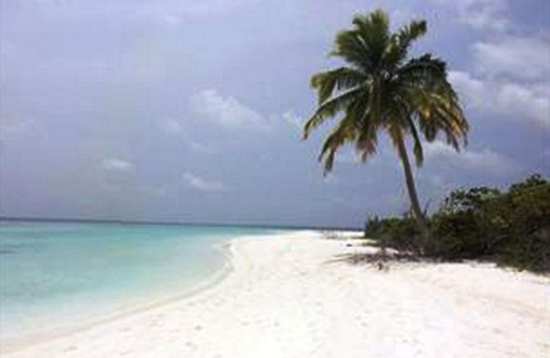 Goby Lodge Guest House